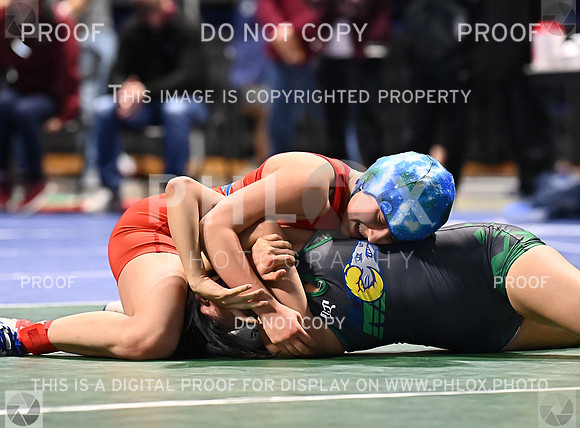 DLS_9774