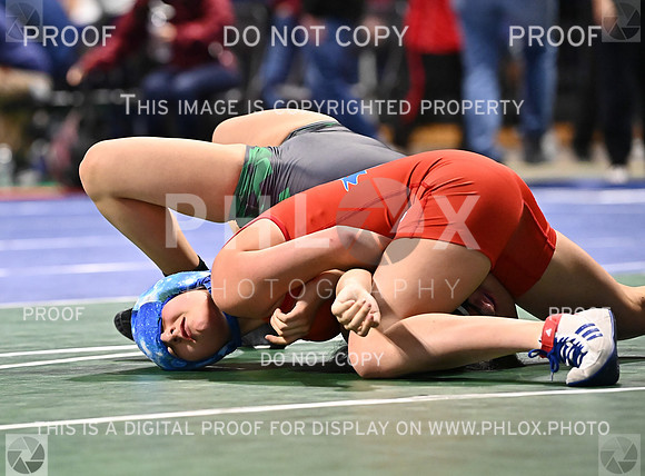 DLS_9771