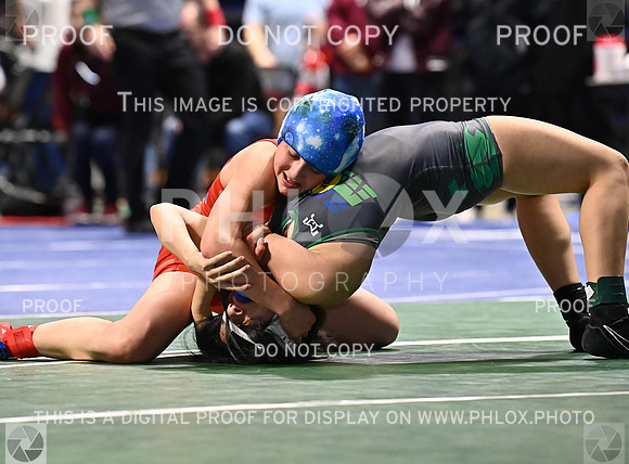 DLS_9776