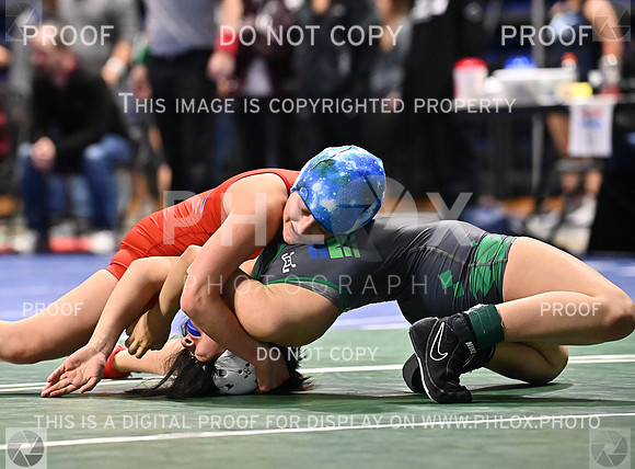 DLS_9778