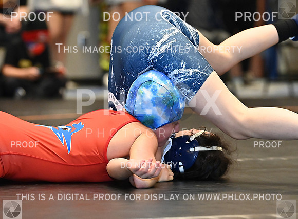 DLS_0197