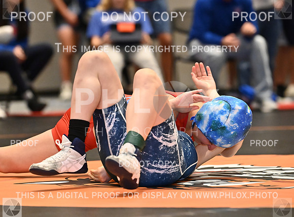 DLS_0178