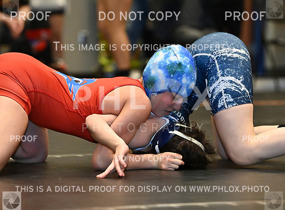 DLS_0195