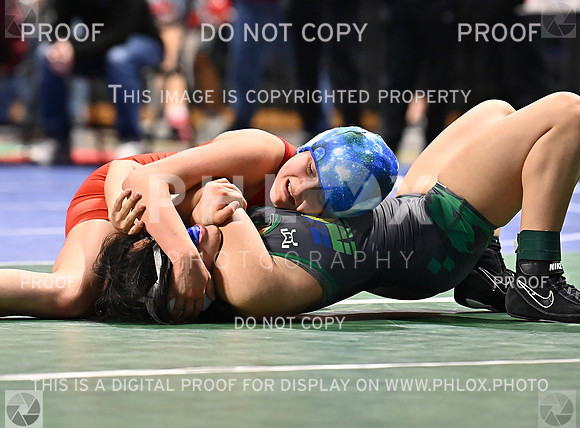DLS_9775