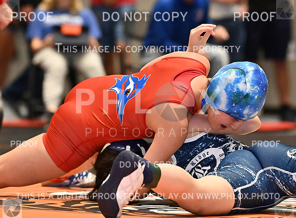 DLS_0179