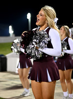 DLS_0115