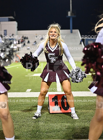 DLS_0174