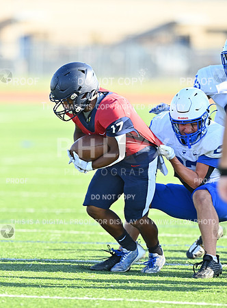 DLS_3236