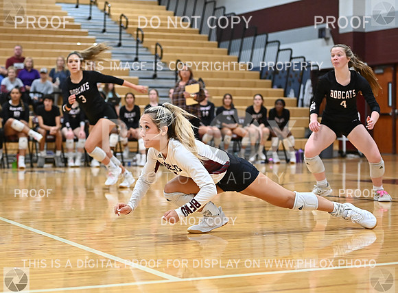 DLS_5092