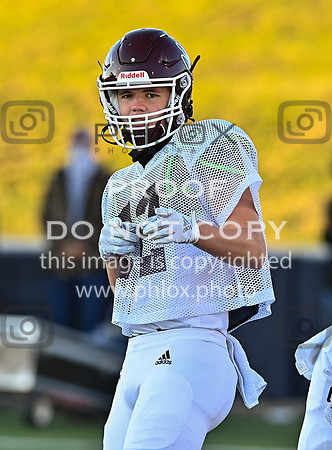 DLS_3704