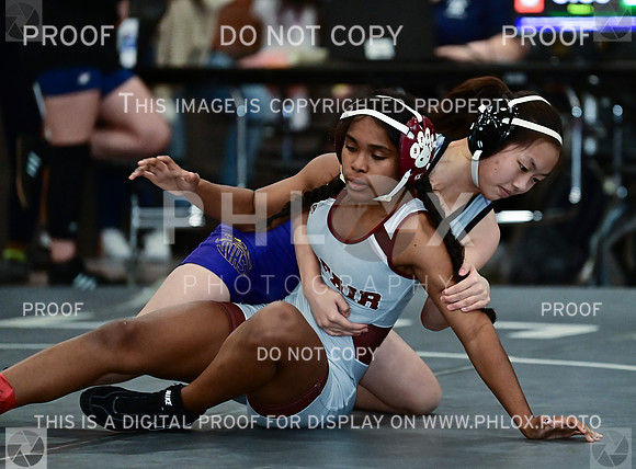 TD6_8065
