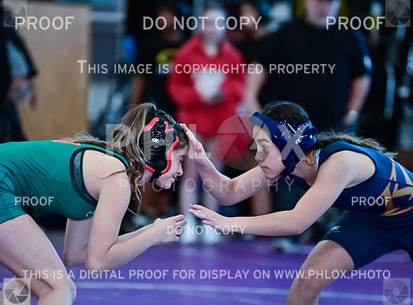 TD6_7919