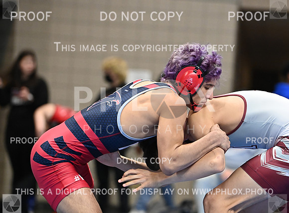 DLS_9075