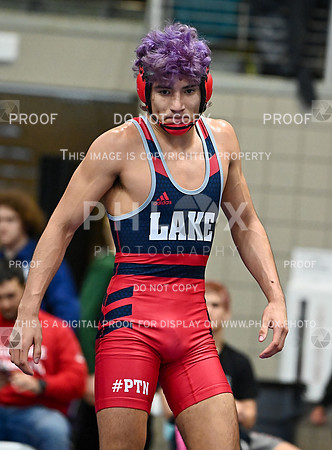 DLS_9714