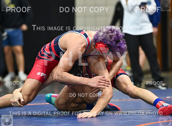 DLS_9728