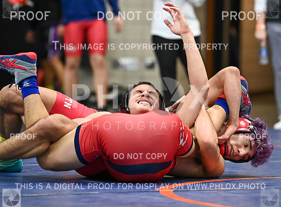 DLS_9730