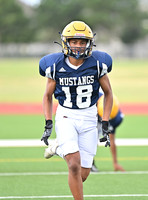 18 DACIAN FIELDS Cy Ranch 9-2