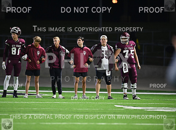 DLS_8218