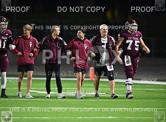 DLS_8250