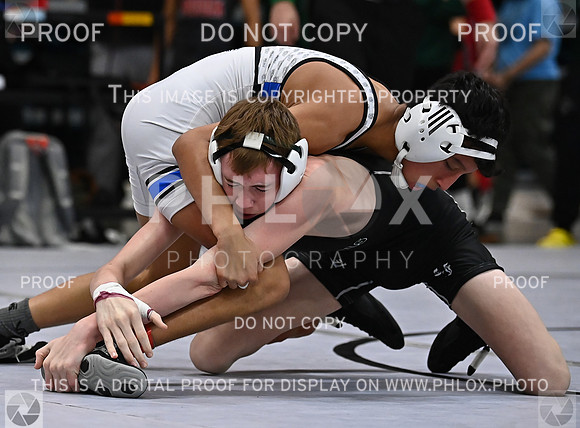 DLS_1278