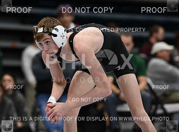 DLS_1291