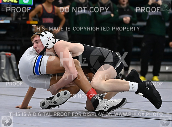 DLS_1272
