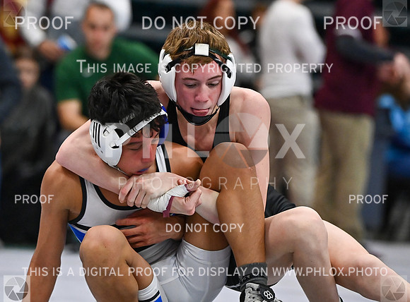 DLS_1304