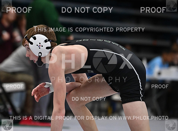 DLS_1285
