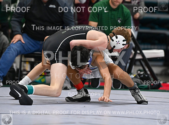 DLS_1295
