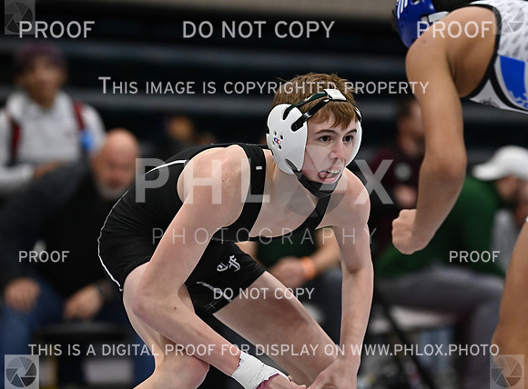 DLS_1262