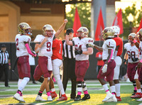 D85_8908
