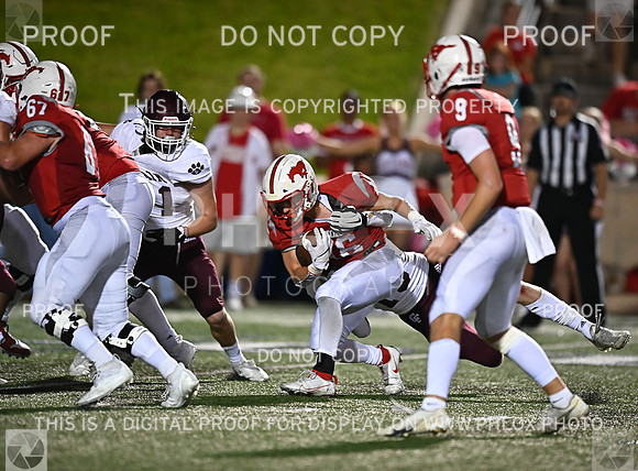 DLS_7434