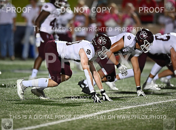DLS_7429