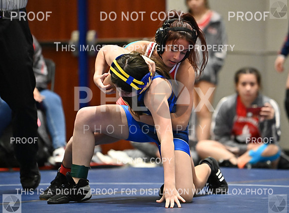 DLS_8014