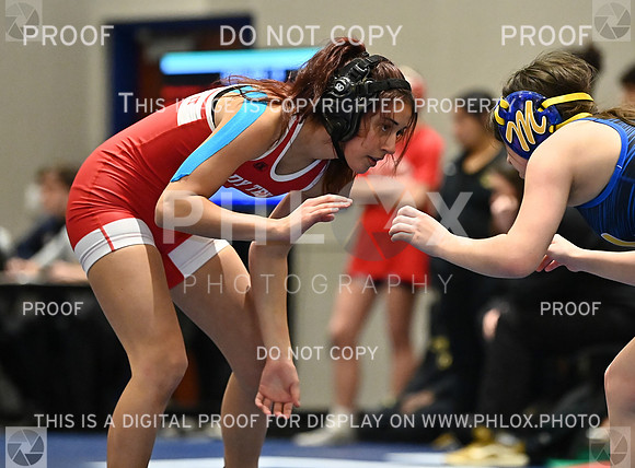 DLS_8029