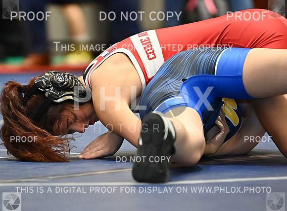 DLS_8022