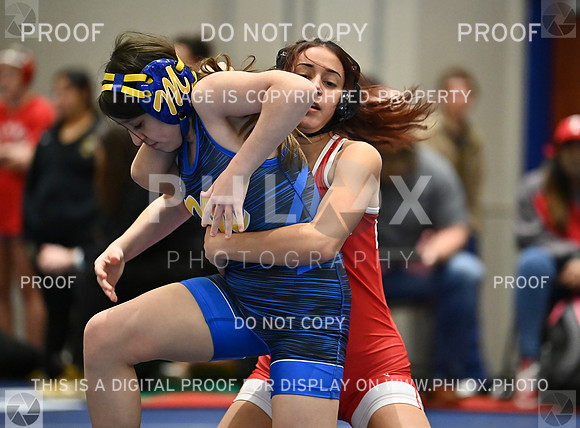 DLS_8018