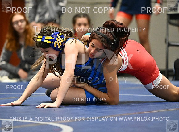 DLS_8013