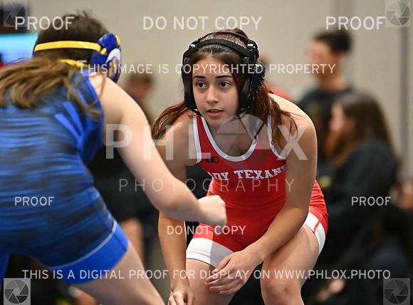 DLS_8011