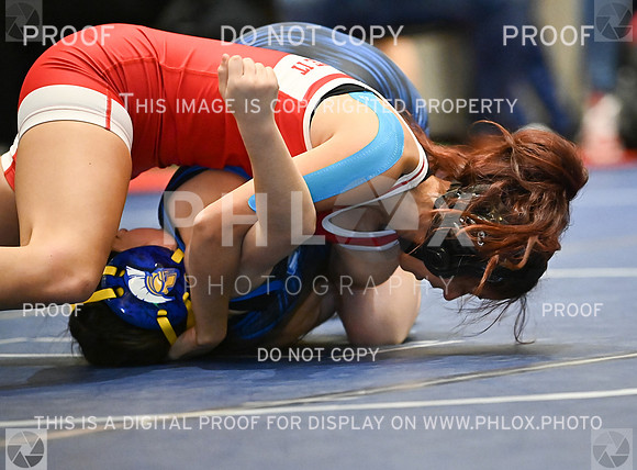 DLS_8024