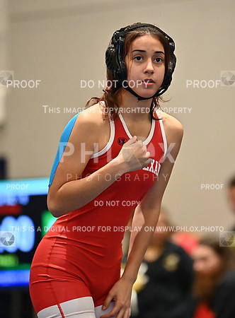 DLS_8007