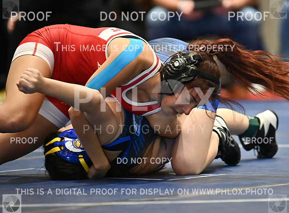 DLS_8023
