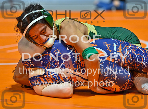DLS_3199