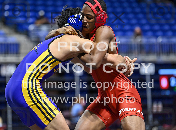 DLS_2916