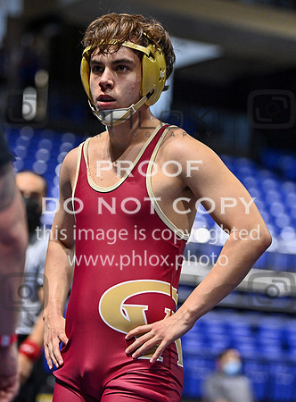 DLS_3008