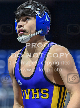 DLS_2918