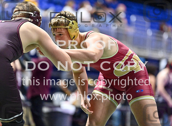 DLS_2995