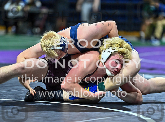 DLS_3037