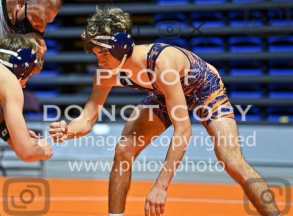 DLS_3227