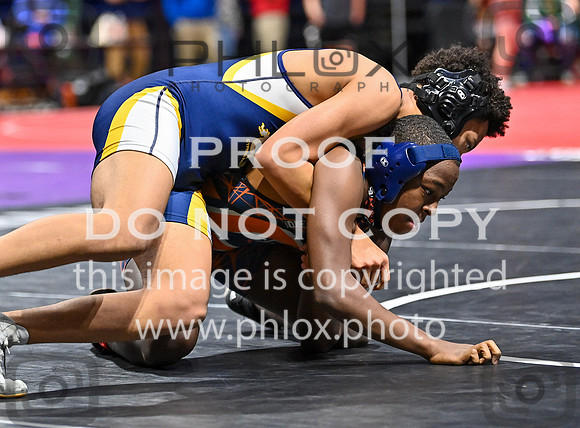 DLS_3025
